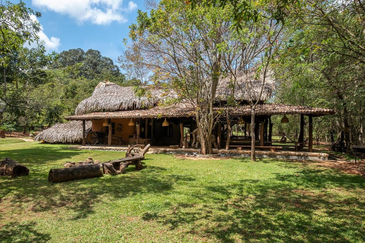 Banyan Camp Villa Hambegamuwa Exterior photo