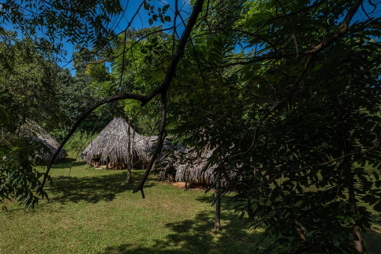 Banyan Camp Villa Hambegamuwa Exterior photo